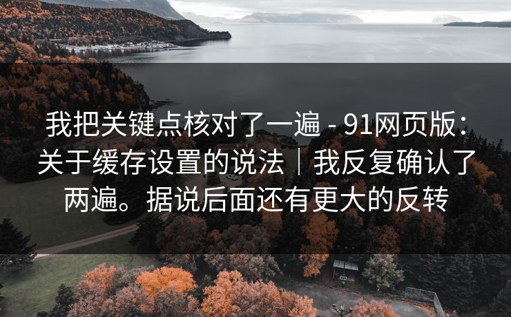 我把关键点核对了一遍 - 91网页版：关于缓存设置的说法｜我反复确认了两遍。据说后面还有更大的反转